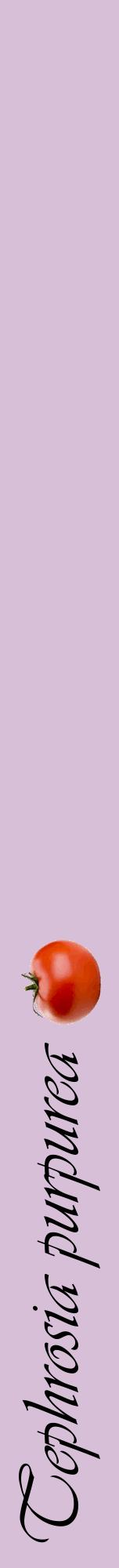 Étiquette de : Tephrosia purpurea - format a - style noire54viv avec comestibilité simplifiée