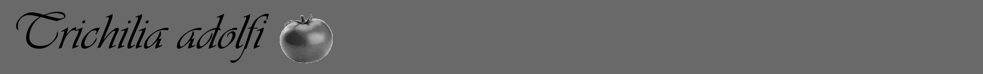 Étiquette de : Trichilia adolfi - format a - style noire51viv avec comestibilité simplifiée
