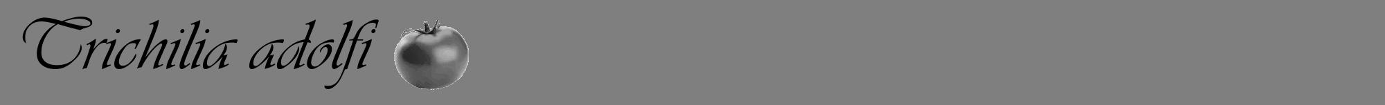 Étiquette de : Trichilia adolfi - format a - style noire57viv avec comestibilité simplifiée