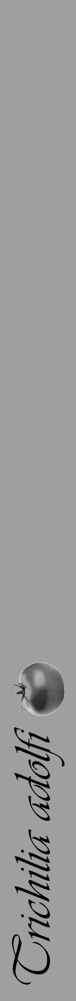 Étiquette de : Trichilia adolfi - format a - style noire24viv avec comestibilité simplifiée - position verticale