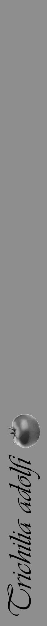 Étiquette de : Trichilia adolfi - format a - style noire25viv avec comestibilité simplifiée - position verticale