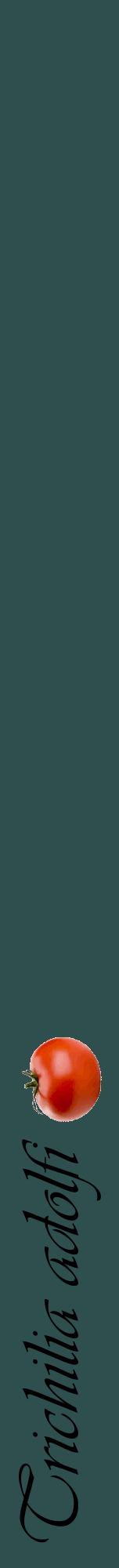 Étiquette de : Trichilia adolfi - format a - style noire58viv avec comestibilité simplifiée