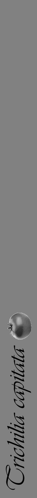 Étiquette de : Trichilia capitata - format a - style noire50viv avec comestibilité simplifiée - position verticale