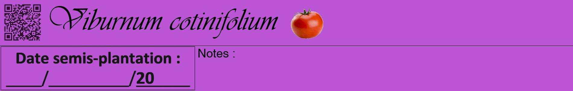 Étiquette de : Viburnum cotinifolium - format a - style noire50basiqueviv avec qrcode et comestibilité simplifiée