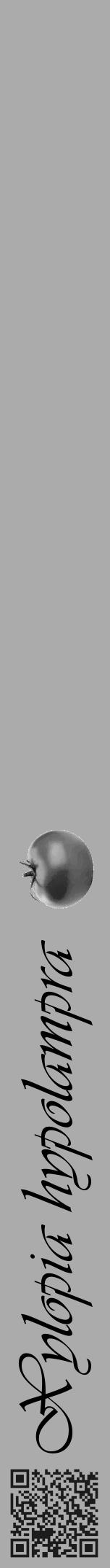 Étiquette de : Xylopia hypolampra - format a - style noire37viv avec qrcode et comestibilité simplifiée - position verticale