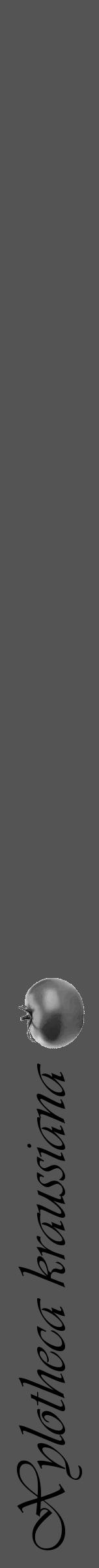 Étiquette de : Xylotheca kraussiana - format a - style noire36simpleviv avec comestibilité simplifiée - position verticale
