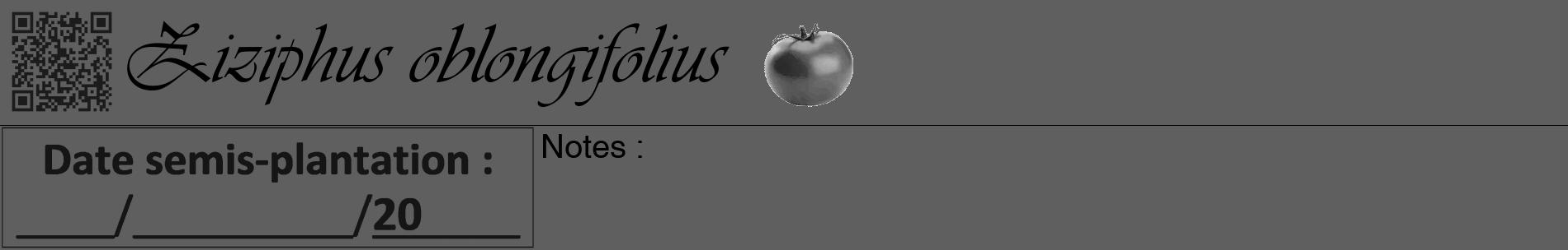 Étiquette de : Ziziphus oblongifolius - format a - style noire10basiqueviv avec qrcode et comestibilité simplifiée