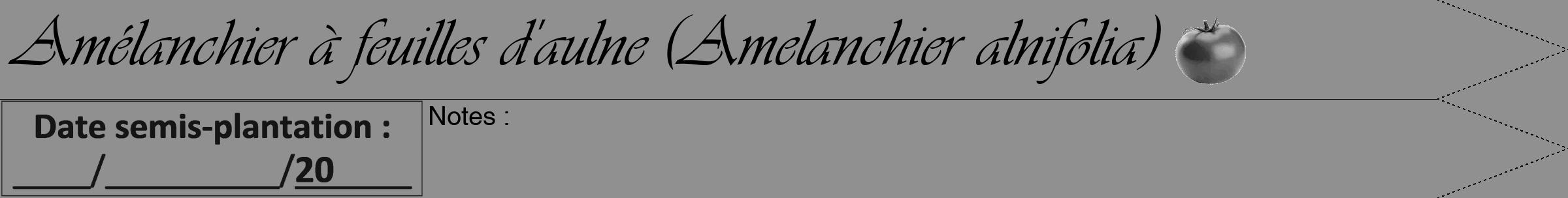 Étiquette de : Amelanchier alnifolia - format b - style noire4viv avec comestibilité simplifiée