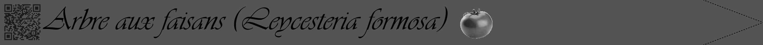 Étiquette de : Leycesteria formosa - format b - style noire36viv avec qrcode et comestibilité simplifiée