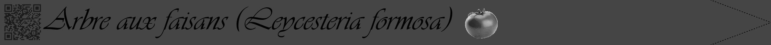 Étiquette de : Leycesteria formosa - format b - style noire58viv avec qrcode et comestibilité simplifiée