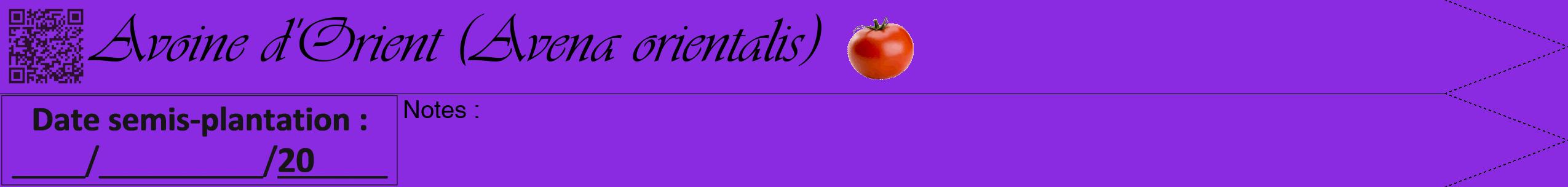 Étiquette de : Avena orientalis - format b - style noire49simpleviv avec qrcode et comestibilité simplifiée