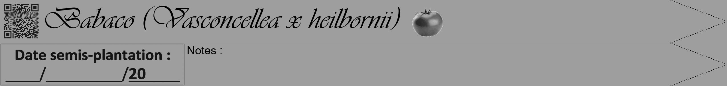 Étiquette de : Vasconcellea x heilbornii - format b - style noire23viv avec qrcode et comestibilité simplifiée