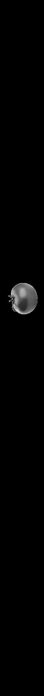Étiquette de : Carya cordiformis - format b - style noire59viv avec comestibilité simplifiée - position verticale