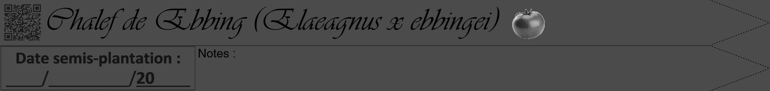Étiquette de : Elaeagnus x ebbingei - format b - style noire9viv avec qrcode et comestibilité simplifiée