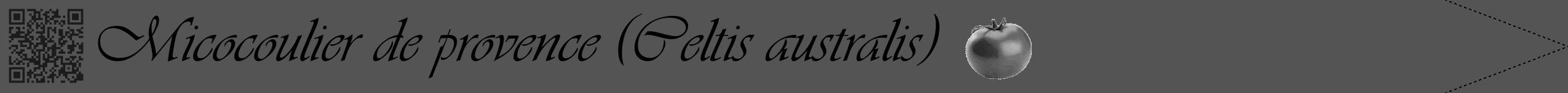 Étiquette de : Celtis australis - format b - style noire36viv avec qrcode et comestibilité simplifiée