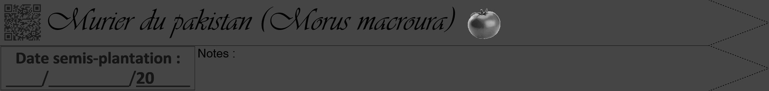 Étiquette de : Morus macroura - format b - style noire58viv avec qrcode et comestibilité simplifiée