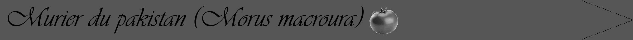 Étiquette de : Morus macroura - format b - style noire45simpleviv avec comestibilité simplifiée
