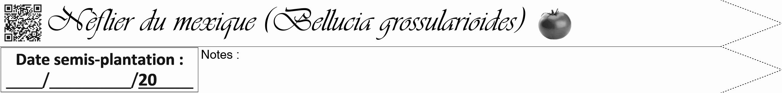 Étiquette de : Bellucia grossularioides - format b - style noire19viv avec qrcode et comestibilité simplifiée