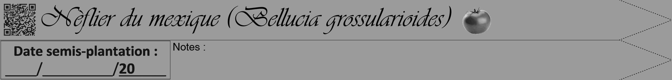 Étiquette de : Bellucia grossularioides - format b - style noire52viv avec qrcode et comestibilité simplifiée
