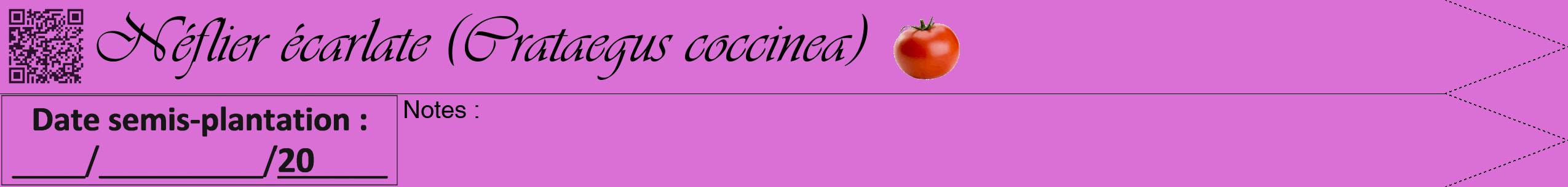 Étiquette de : Crataegus coccinea - format b - style noire52viv avec qrcode et comestibilité simplifiée