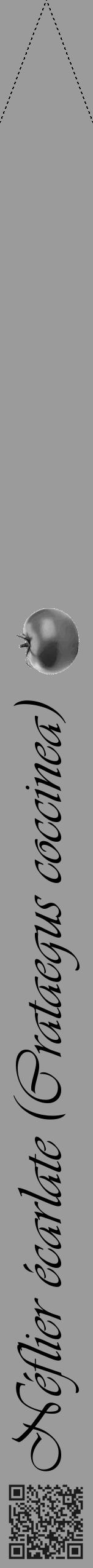 Étiquette de : Crataegus coccinea - format b - style noire52viv avec qrcode et comestibilité simplifiée - position verticale