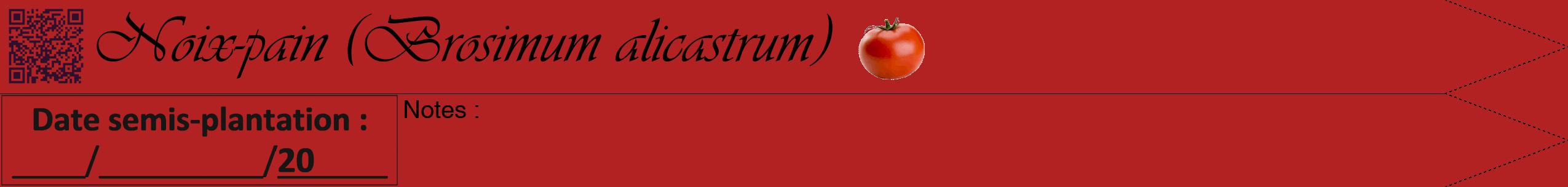 Étiquette de : Brosimum alicastrum - format b - style noire28viv avec qrcode et comestibilité simplifiée