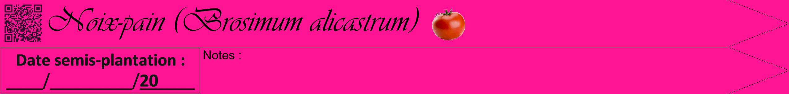 Étiquette de : Brosimum alicastrum - format b - style noire43viv avec qrcode et comestibilité simplifiée
