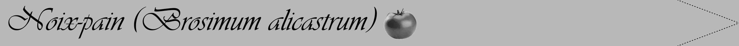Étiquette de : Brosimum alicastrum - format b - style noire39viv avec comestibilité simplifiée