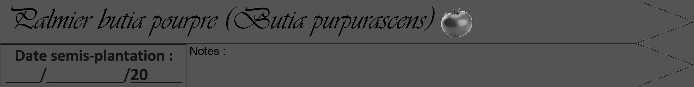 Étiquette de : Butia purpurascens - format b - style noire36simpleviv avec comestibilité simplifiée