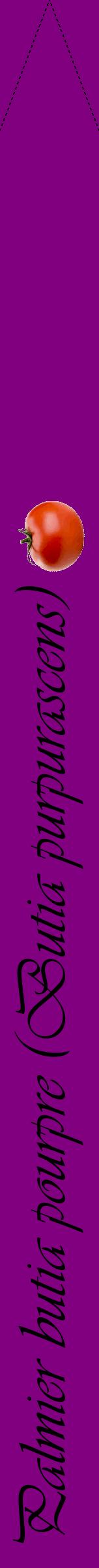 Étiquette de : Butia purpurascens - format b - style noire46viv avec comestibilité simplifiée