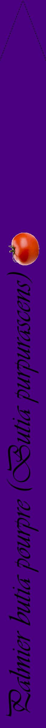 Étiquette de : Butia purpurascens - format b - style noire47viv avec comestibilité simplifiée