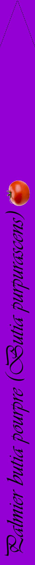 Étiquette de : Butia purpurascens - format b - style noire48viv avec comestibilité simplifiée