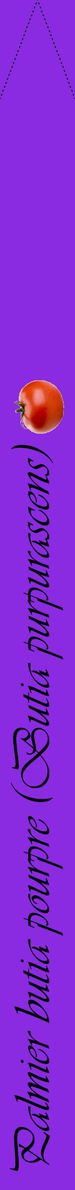Étiquette de : Butia purpurascens - format b - style noire49viv avec comestibilité simplifiée