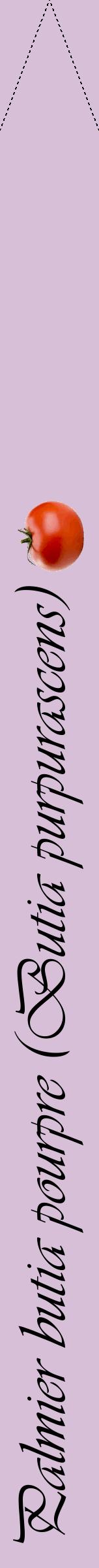 Étiquette de : Butia purpurascens - format b - style noire54viv avec comestibilité simplifiée