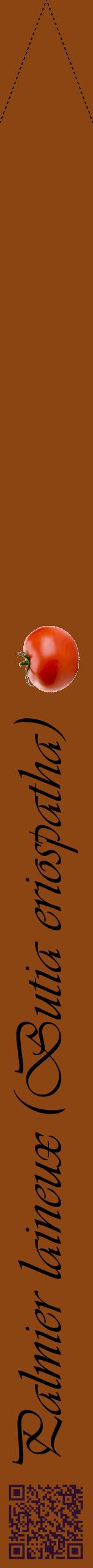 Étiquette de : Butia eriospatha - format b - style noire30viv avec qrcode et comestibilité simplifiée