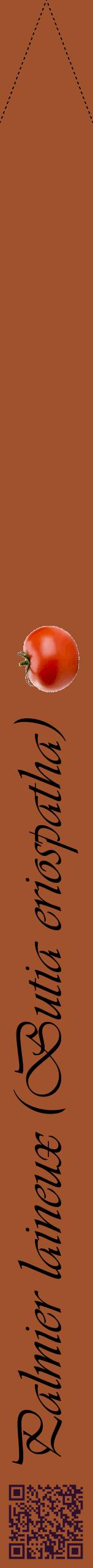 Étiquette de : Butia eriospatha - format b - style noire32viv avec qrcode et comestibilité simplifiée