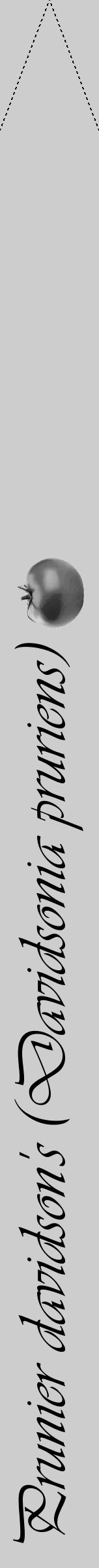 Étiquette de : Davidsonia pruriens - format b - style noire41viv avec comestibilité simplifiée - position verticale