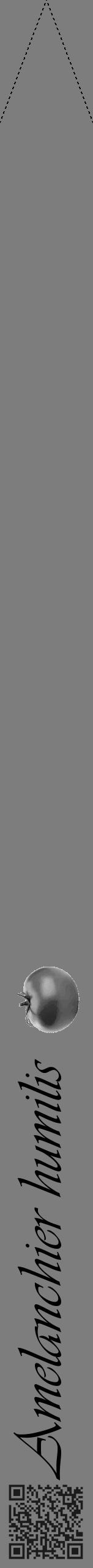 Étiquette de : Amelanchier humilis - format b - style noire35viv avec qrcode et comestibilité simplifiée - position verticale