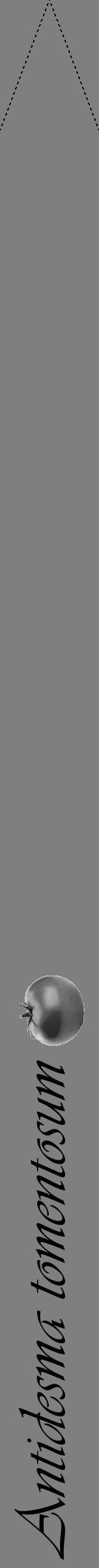 Étiquette de : Antidesma tomentosum - format b - style noire31simpleviv avec comestibilité simplifiée - position verticale