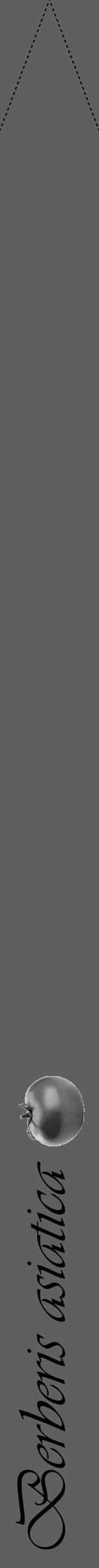 Étiquette de : Berberis asiatica - format b - style noire10viv avec comestibilité simplifiée - position verticale