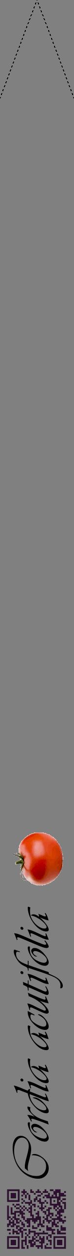 Étiquette de : Cordia acutifolia - format b - style noire57viv avec qrcode et comestibilité simplifiée