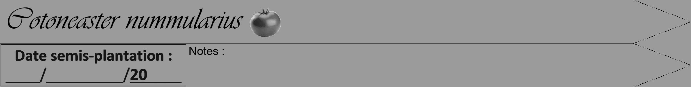 Étiquette de : Cotoneaster nummularius - format b - style noire52viv avec comestibilité simplifiée