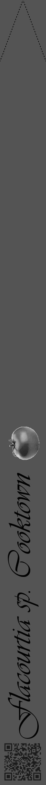Étiquette de : Flacourtia sp. Cooktown - format b - style noire30viv avec qrcode et comestibilité simplifiée - position verticale