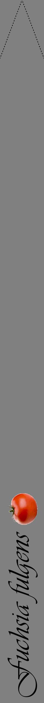Étiquette de : Fuchsia fulgens - format b - style noire57viv avec comestibilité simplifiée
