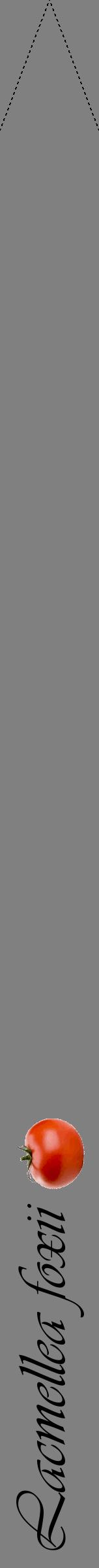 Étiquette de : Lacmellea foxii - format b - style noire57viv avec comestibilité simplifiée