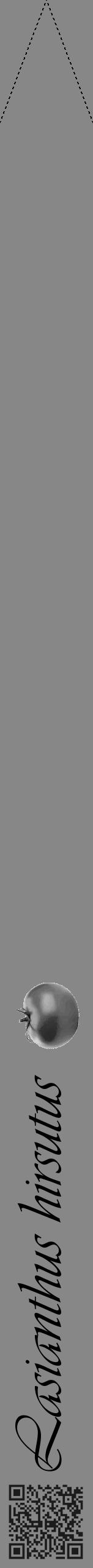 Étiquette de : Lasianthus hirsutus - format b - style noire12viv avec qrcode et comestibilité simplifiée - position verticale