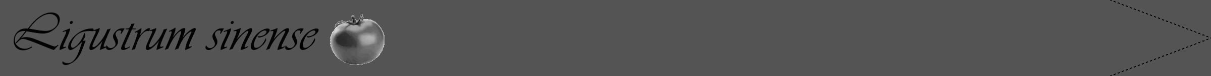 Étiquette de : Ligustrum sinense - format b - style noire36viv avec comestibilité simplifiée