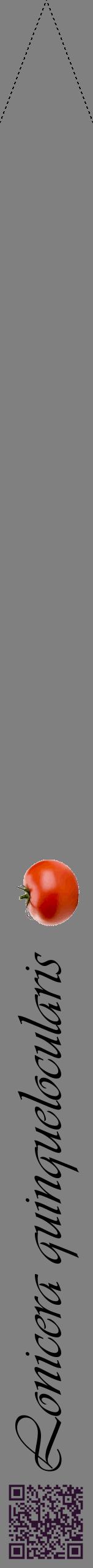 Étiquette de : Lonicera quinquelocularis - format b - style noire57viv avec qrcode et comestibilité simplifiée