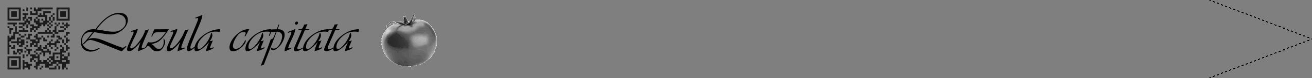 Étiquette de : Luzula capitata - format b - style noire57viv avec qrcode et comestibilité simplifiée