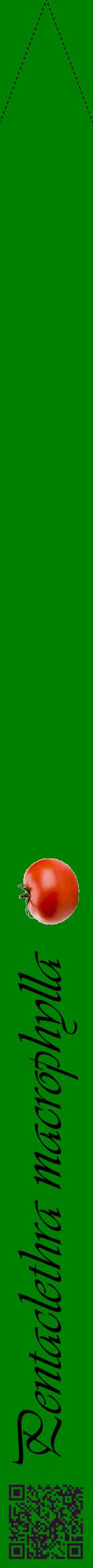 Étiquette de : Pentaclethra macrophylla - format b - style noire9viv avec qrcode et comestibilité simplifiée